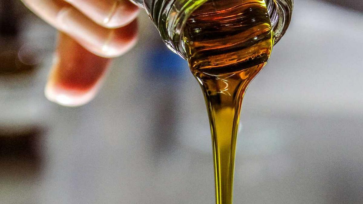 L’olio di soia potrebbe influenzare il metabolismo: ecco gli effetti nascosti