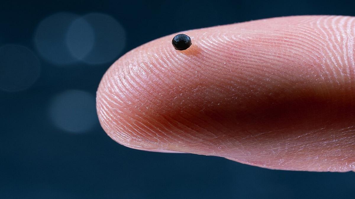 Microrobot magnetici per farmaci mirati: una svolta nella lotta all’ictus