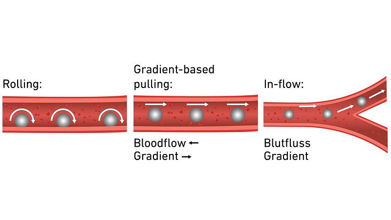 microrobot nella lotta all'ictus