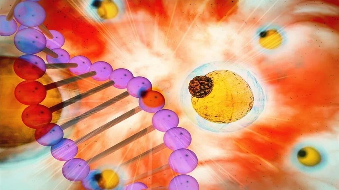 La genetica incrociata apre nuove strade per la medicina di precisione contro l’obesità