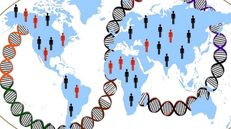 scoperti geni correlati all'obesità