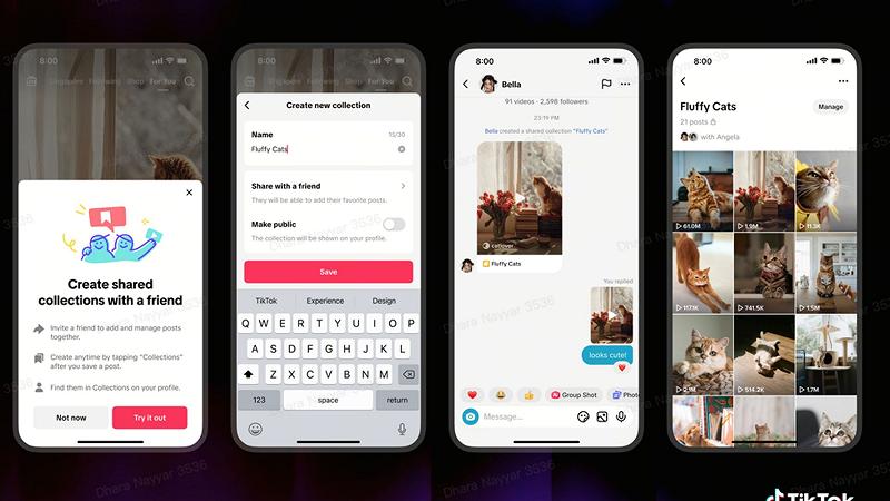 TikTok Shared Collection