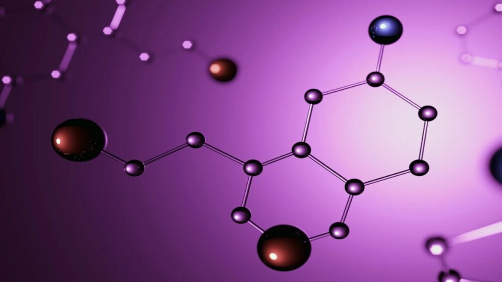 ciò che conta non è tanto la quantità di dopamina chimica presente, quanto piuttosto i recettori cerebrali che reagiscono ad essa