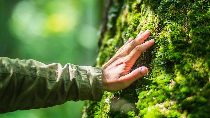 connessione con la natura