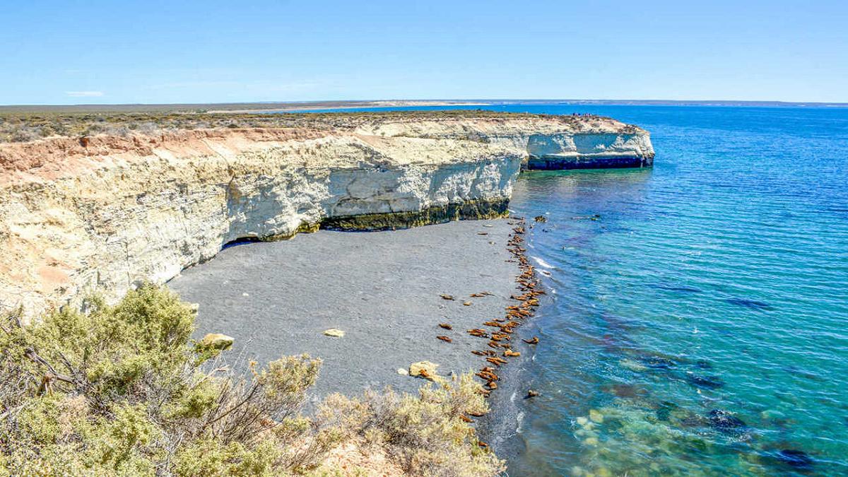 Inquinamento marino in Patagonia: svelato un lato oscuro che minaccia la biodiversità