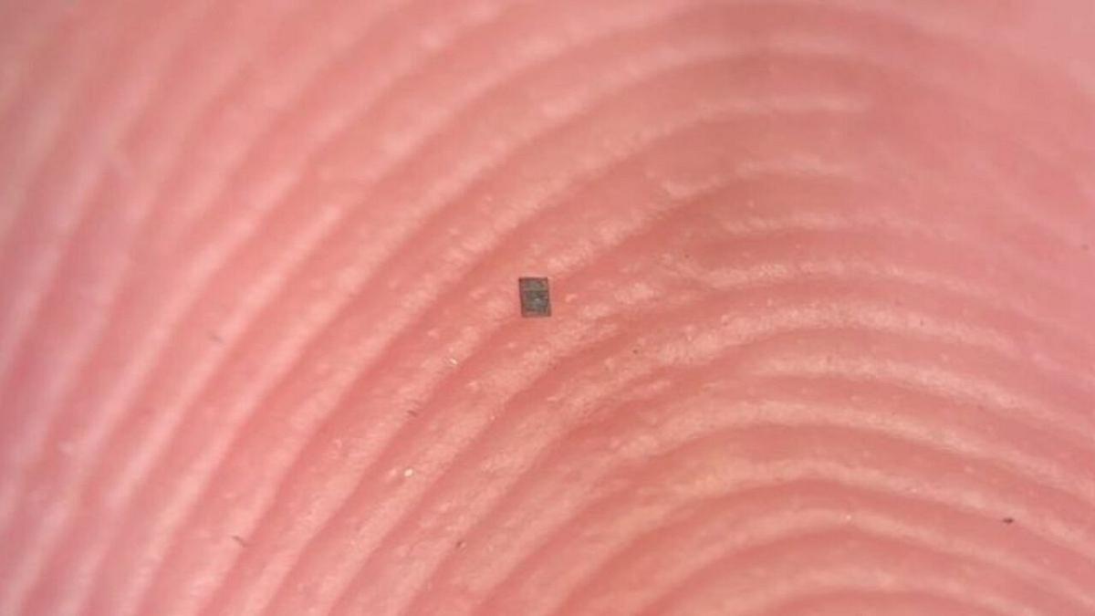 Sviluppato il robot programmabile più piccolo di sempre: una nuova frontiera per la microrobotica