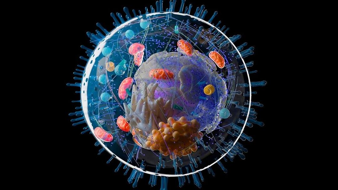 Nuove analisi genetiche riscrivono il percorso evolutivo delle cellule complesse