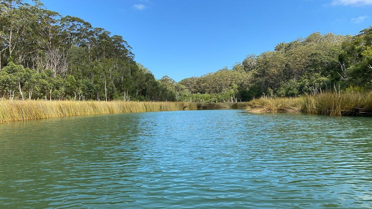 K’gari e i suoi laghi millenari: una ricerca solleva dubbi sul loro futuro