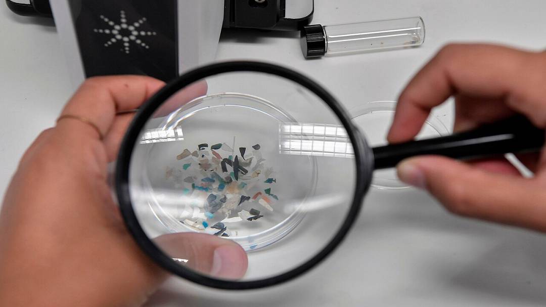 Microplastiche e cuore: uno studio rivela un rischio nascosto soprattutto per gli uomini