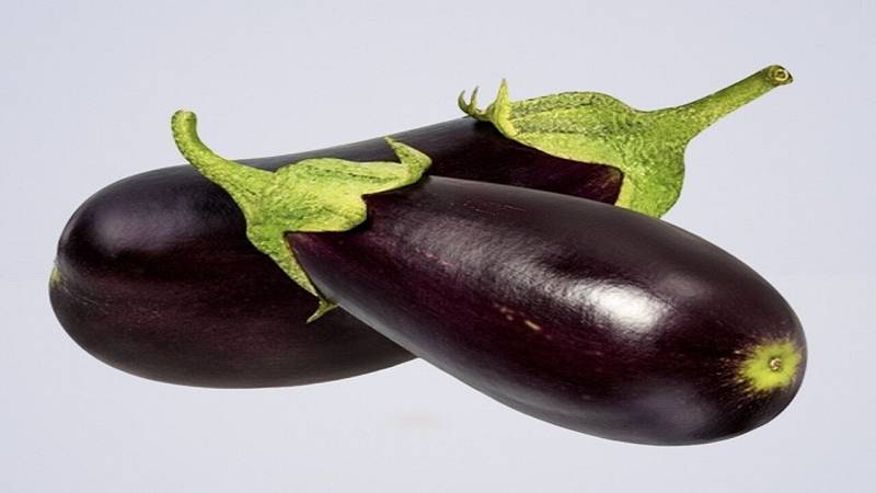 melanzane più ricche di antocianine