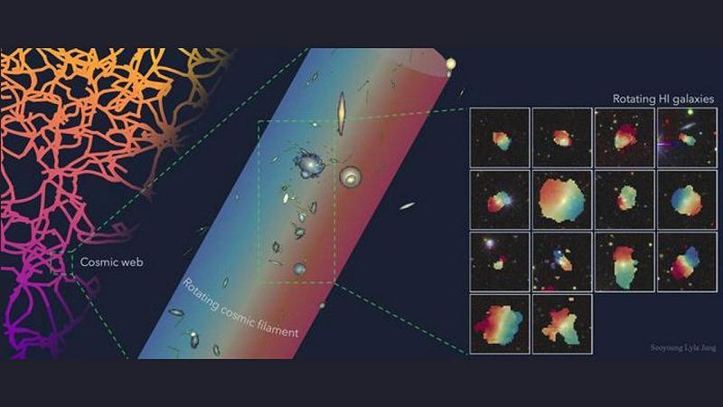 un diagramma che illustra il filamento