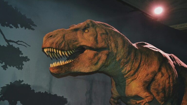 T‑rex, nuove analisi delle ossa: la curva di crescita è molto diversa dal previsto