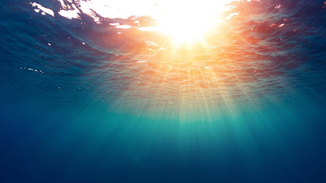 Caldo estremo in mare: il 2003 ha innescato un cambiamento che dura ancora oggi