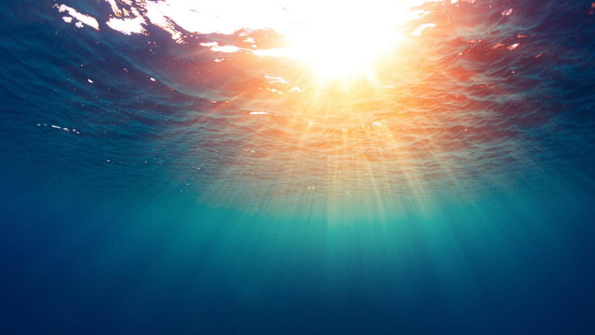 Caldo estremo in mare: il 2003 ha innescato un cambiamento che dura ancora oggi