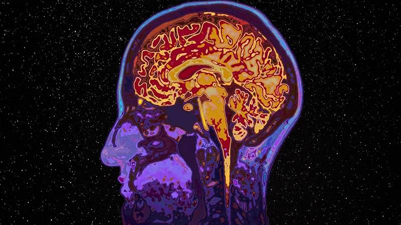 cervello degli astronauti