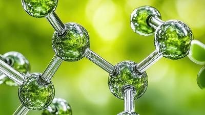 Speranze contro il cancro: un composto fungino è stato sintetizzato per la prima volta dopo 55 anni