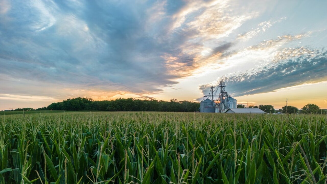 eccesso di fosforo nei terreni agricoli degli Stati Uniti