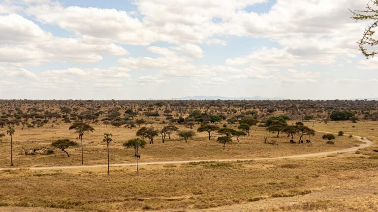 Una crisi che avanza: perché l’erosione del suolo in Tanzania è esplosa negli ultimi decenni