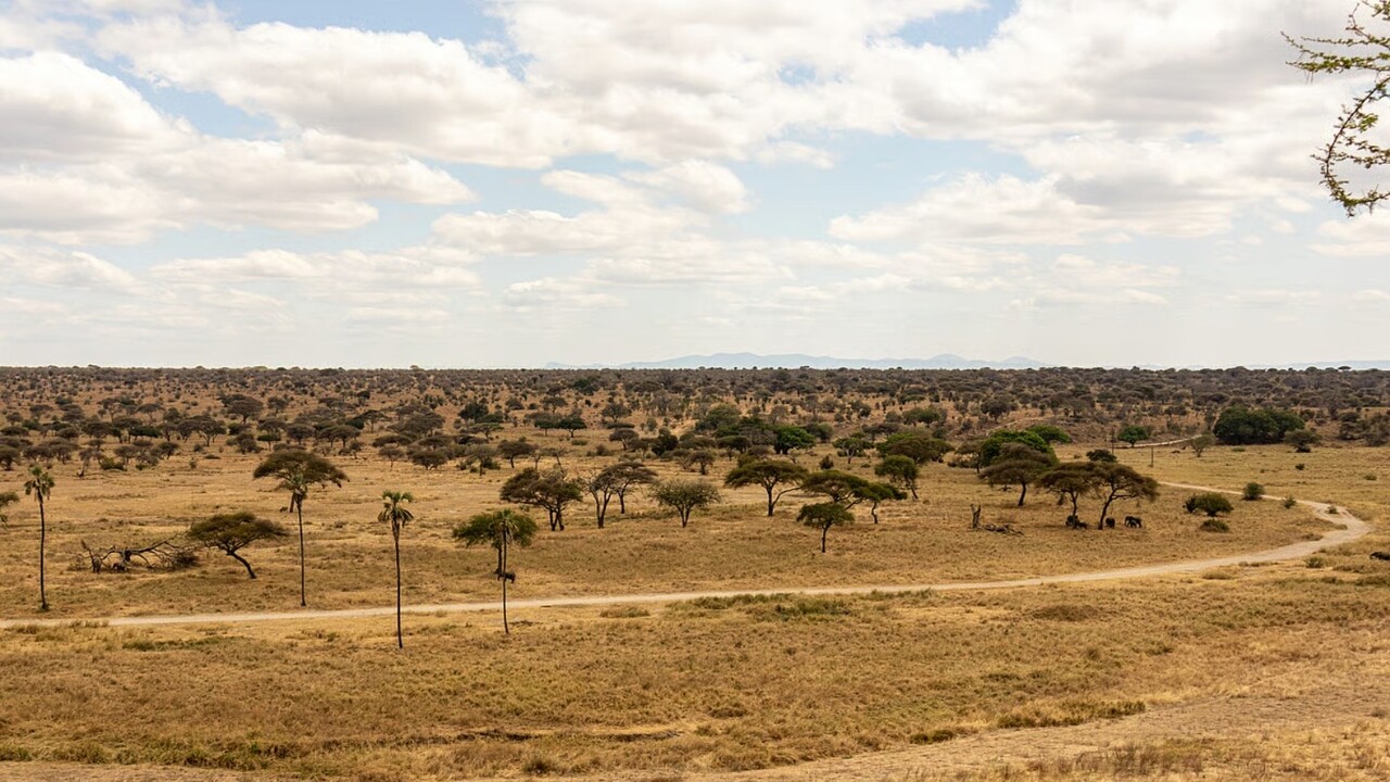 erosione del suolo in Tanzania