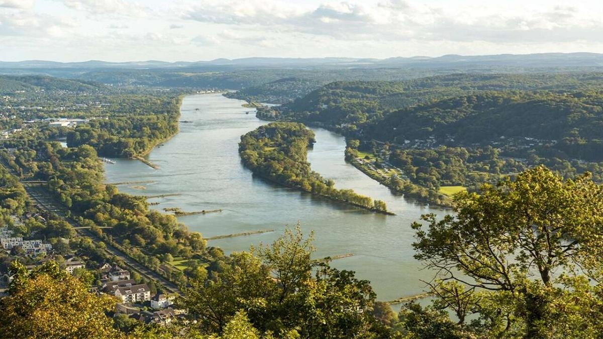 Inquinamento nel Reno: una trappola galleggiante rivela numeri impressionanti