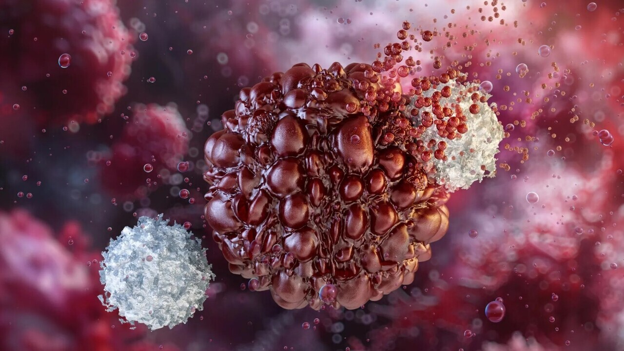 gli scienziati hanno finalmente scoperto come far crescere le cellule T helper a partire dalle cellule staminali