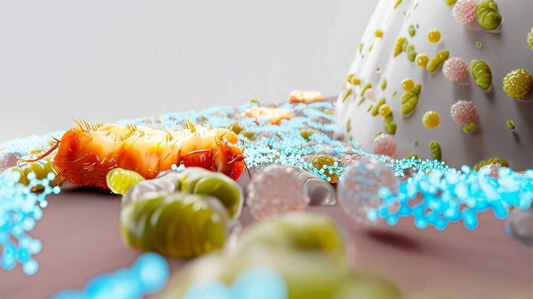 Gengive più sane: arriva il dentifricio che blocca il batterio responsabile della parodontite