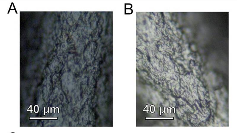 il filamento a base di carbonio prima e dopo l'accensione per 20 secondi