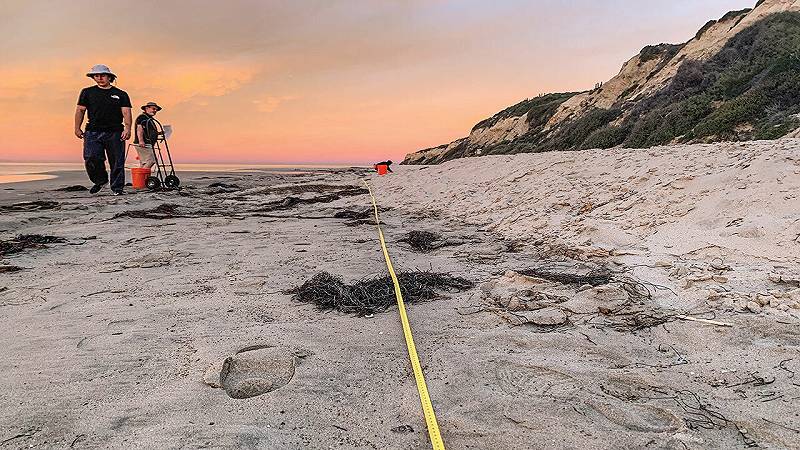 le microplastiche raggiungono le spiagge