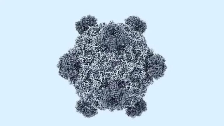 Svolta nella biologia sintetica: l’IA genera un nuovo virus e apre scenari inattesi