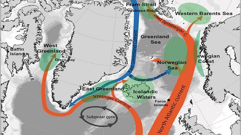 ondata di caldo estremo in mare