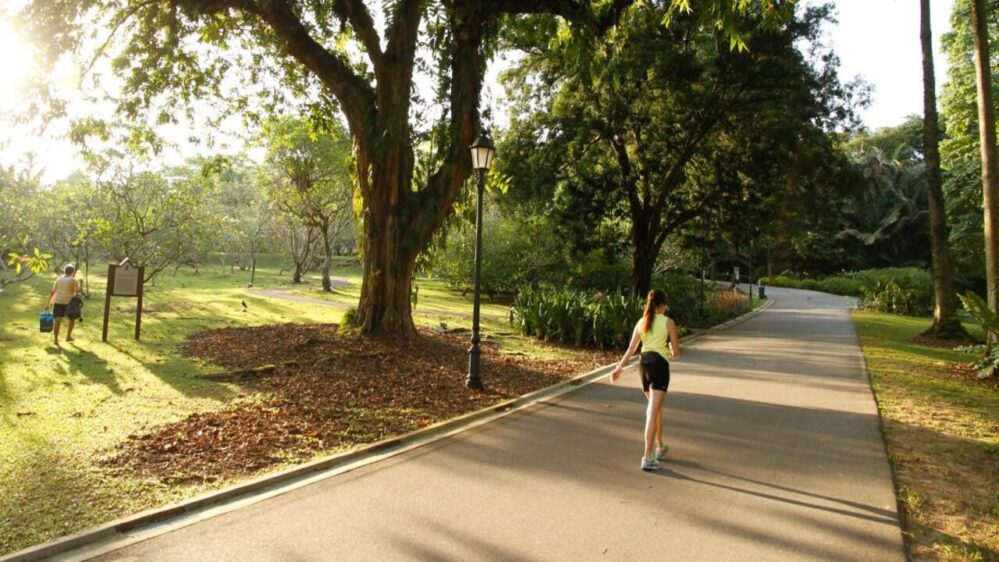 parco in città