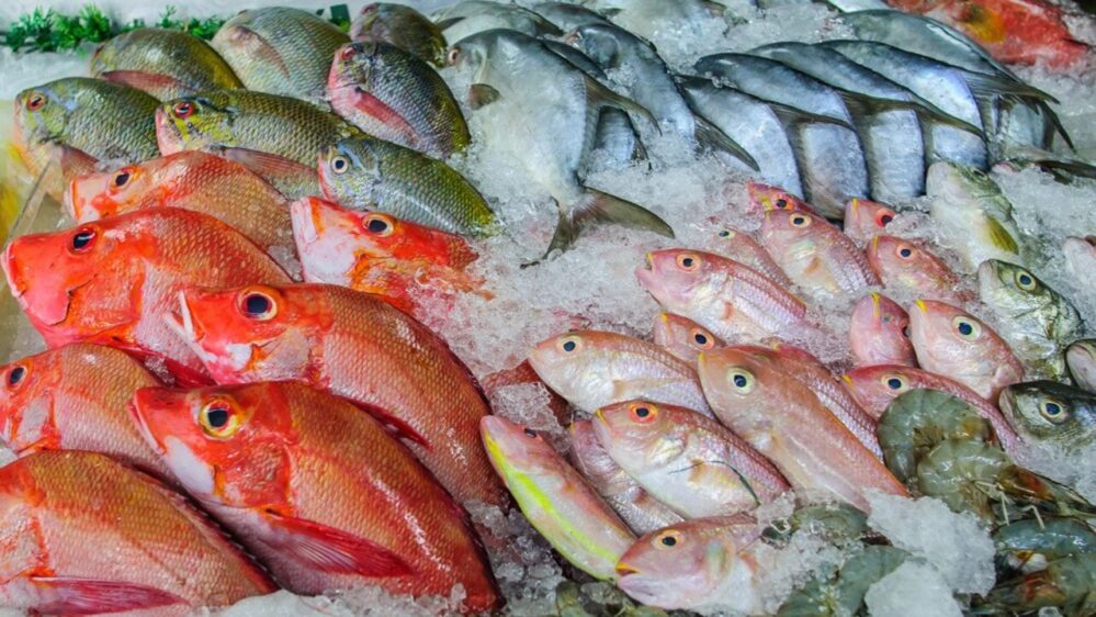 pesce tropicale
