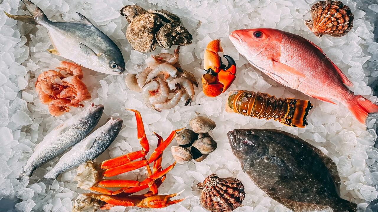 pesci e frutti di mare