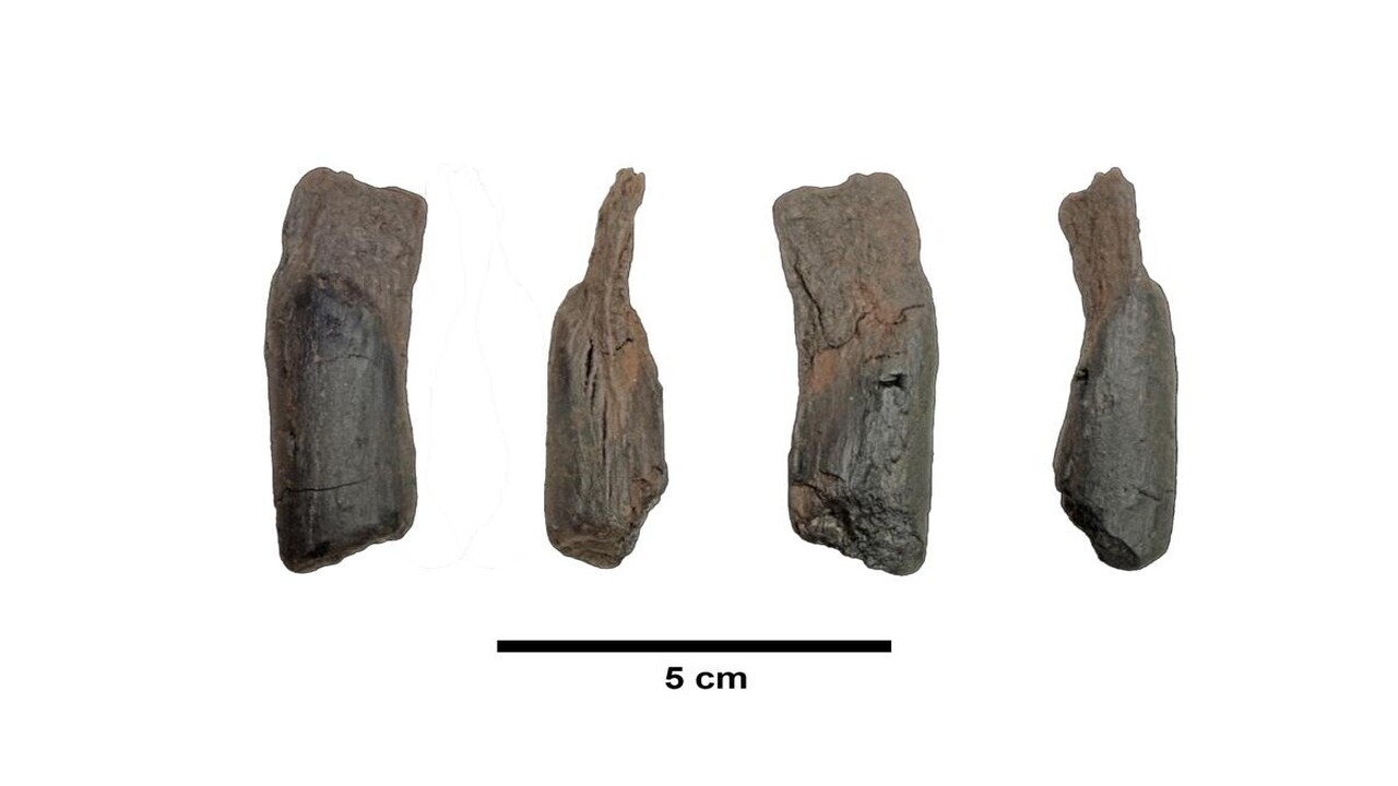 Tesoro nascosto in Grecia: scoperti utensili in legno antichissimi sulle rive di un lago