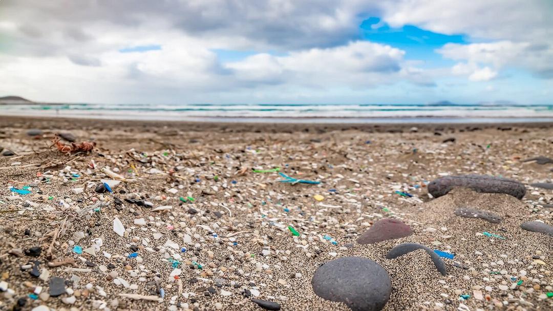 Fertilizzanti rivestiti e inquinamento invisibile: la ricerca che svela come le microplastiche raggiungono le spiagge