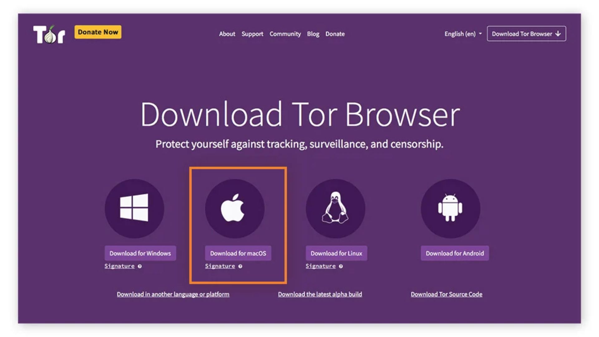 Dark web, condanna storica per Incognito Market: 30 anni di carcere al fondatore