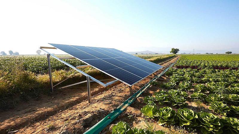 agricoltura e fotovoltaico