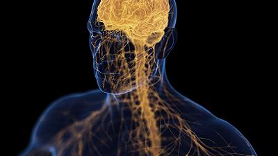 Depressione e salute delle ossa: la teoria dell’asse osso-cervello apre scenari inattesi