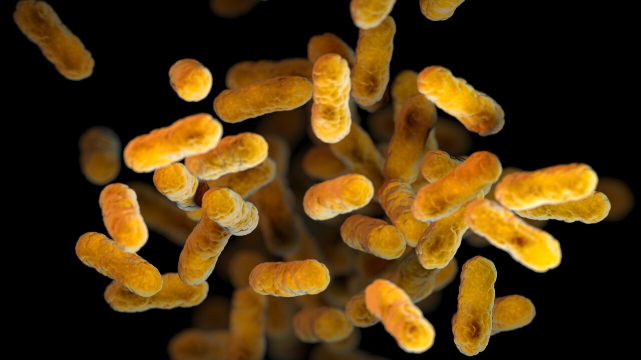 epidemia di pertosse