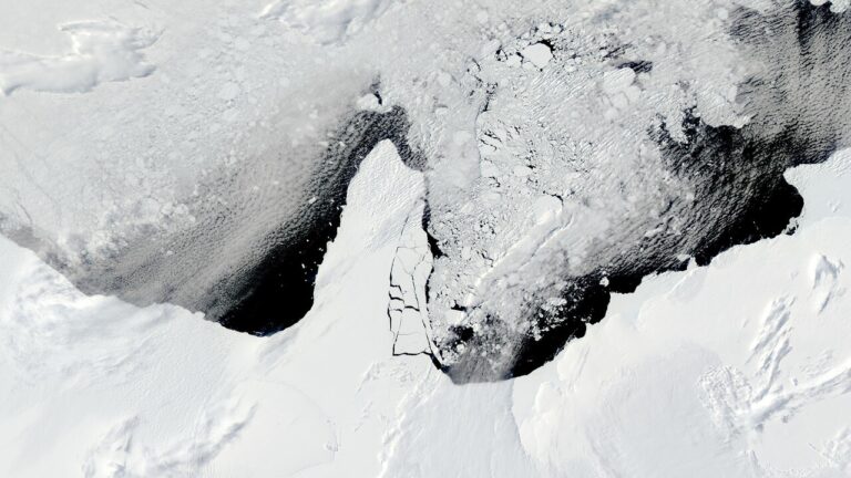 Osservazione dei ghiacci, la NASA arruola un esperto della Tasmania