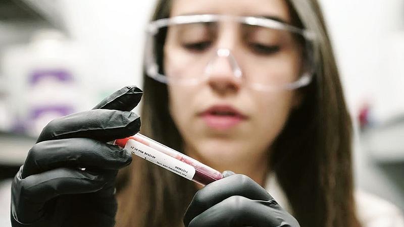 gli scienziati scoprono perché l'alta quota protegge dal diabete