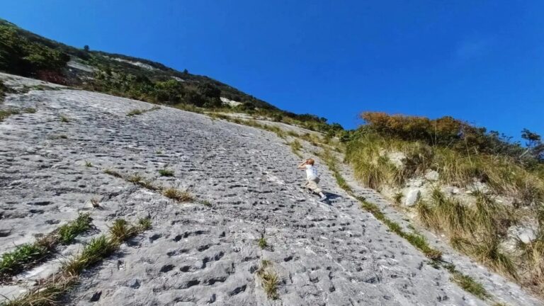 Impronte antiche e un enigma geologico: cosa avrebbe spaventato le tartarughe 80 milioni di anni fa