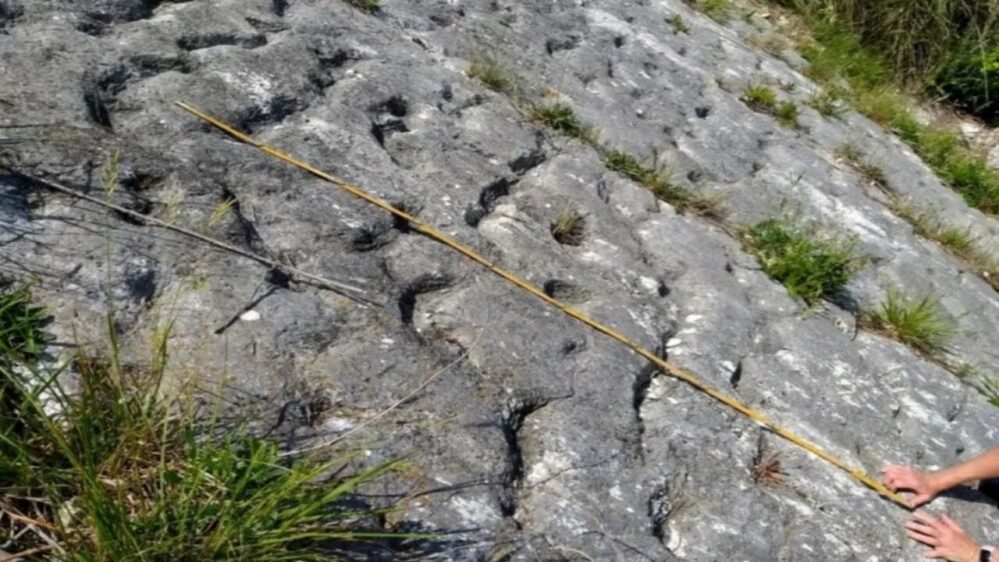 le impronte delle tartarughe apparivano come delle fossette rotonde