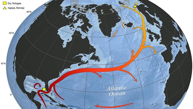 mappa della Corrente del Golfo