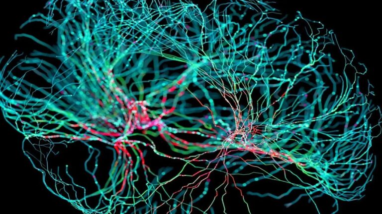 Neurobiologia quantistica, la ricerca che apre scenari terapeutici mai esplorati