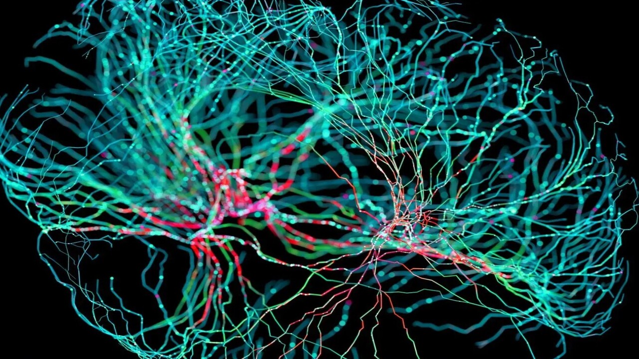 neurobiologia quantistica