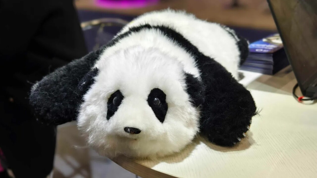 L’IA percepisce le emozioni: arriva il panda robot che innova l’assistenza