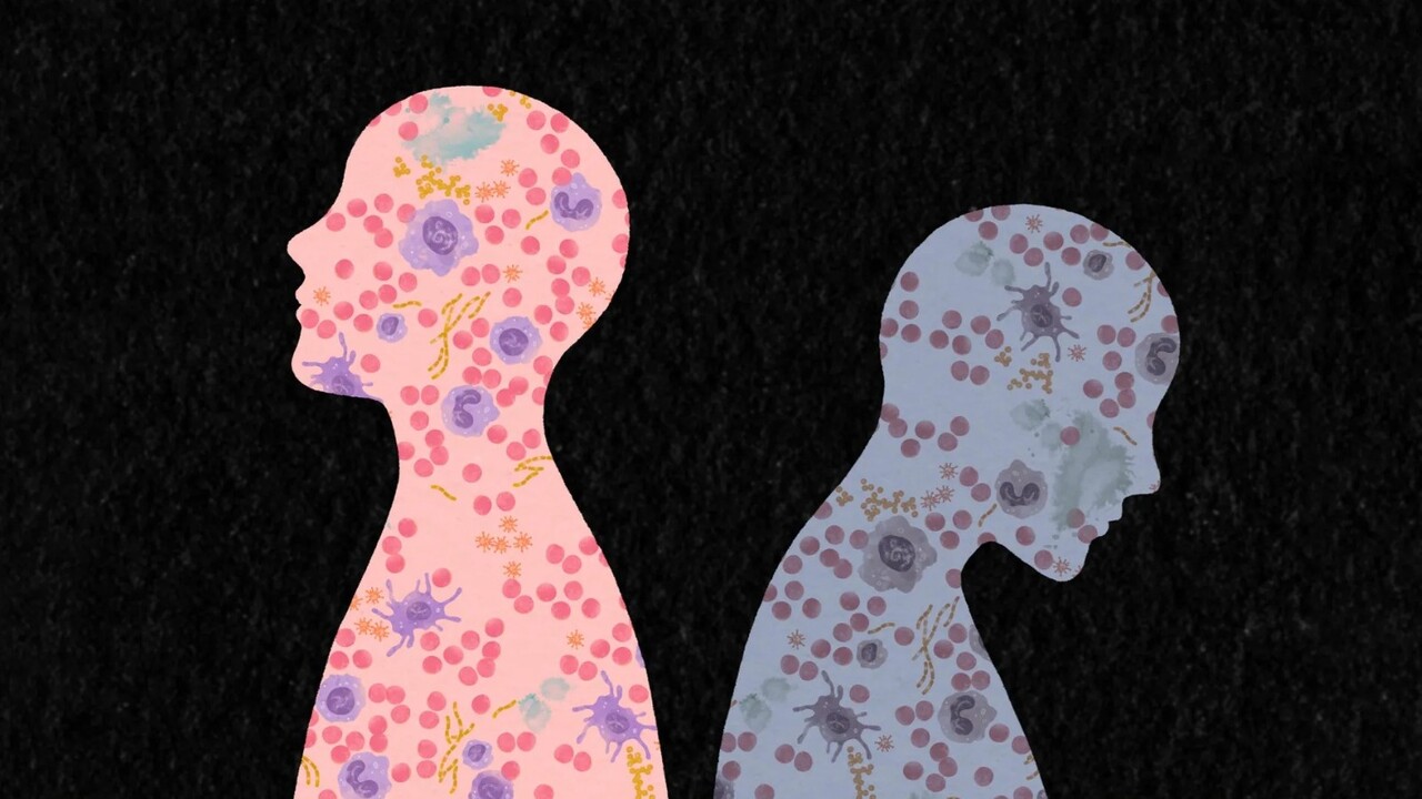 Il sistema immunitario come diario segreto: scoperte le tracce lasciate dalle esperienze