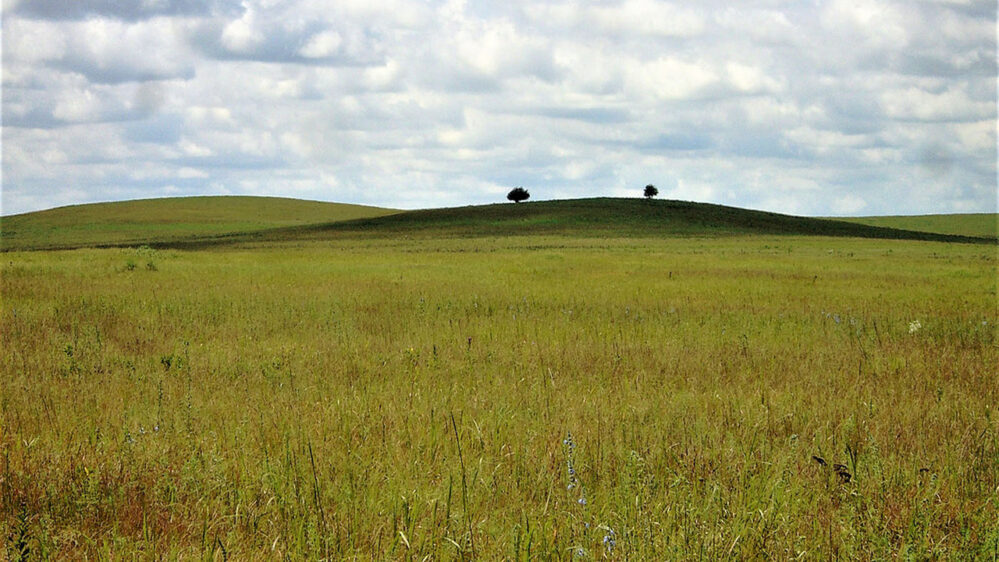 prateria