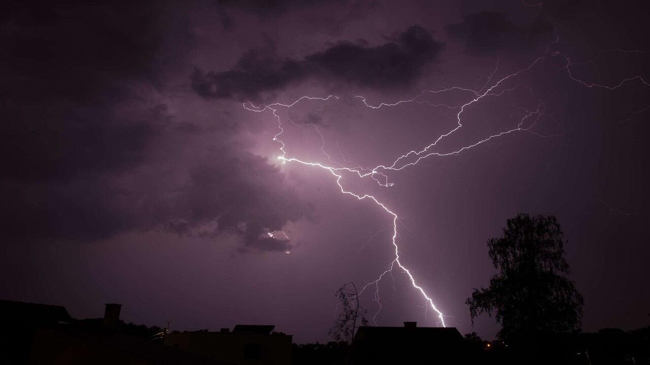 Fiamme UV sugli alberi: il fenomeno che accade durante i temporali e non vediamo